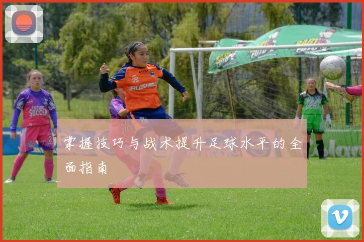 掌握技巧与战术提升足球水平的全面指南