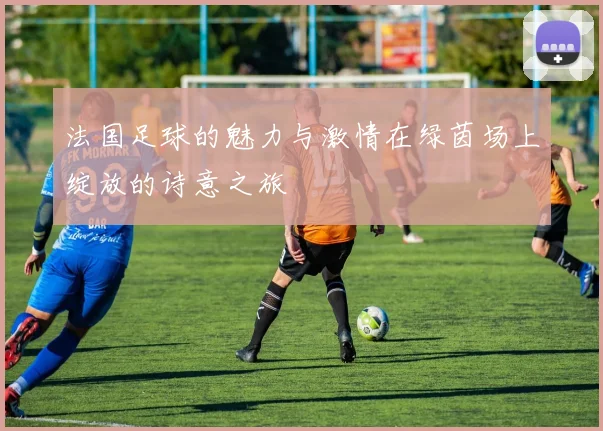 法国足球的魅力与激情在绿茵场上绽放的诗意之旅